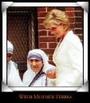 mother teresa profile picture