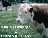 Duo California & Cousin de Texas profile picture