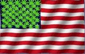 Legalize the buds in arizona profile picture