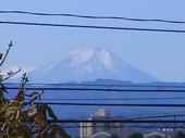 Mont Fuji profile picture