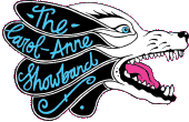 The Carol-Anne Showband profile picture