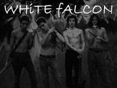 White Falcon profile picture