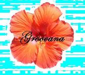 Groovana profile picture