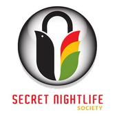 SECRET NIGHTLIFE SOCIETY (A ROGUE ORGANIZATION) profile picture