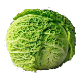 gary_the_cabbage