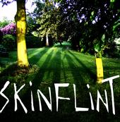 Skinflint profile picture