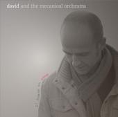 david and the mecanical orchestra profile picture