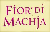 Fior di Machja profile picture