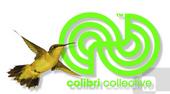 colibri collective profile picture