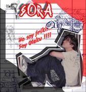 SoRa <<[Proximamente Maqueta>> profile picture