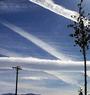 the chemtrail project profile picture