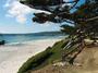 Carmel-By-The-Sea profile picture