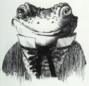 toad profile picture