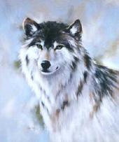 Wolf profile picture