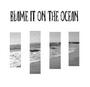 blame it on the ocean profile picture