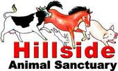 hillsideanimal