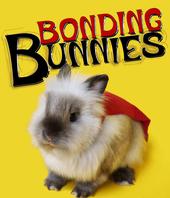 bondingbunnies