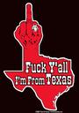 Tees For Texans profile picture