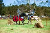 Gulf Coast Renaissance Faire profile picture