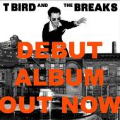 T Bird and the Breaks profile picture