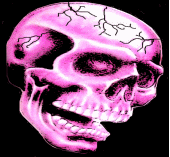 CROSS BONED SKULL profile picture