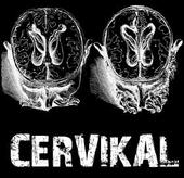 cervikal profile picture