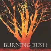 BURNING BUSH MUSIC MINISTRIES INC. profile picture