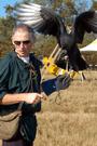 Gulf Coast Renaissance Faire profile picture