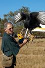 Gulf Coast Renaissance Faire profile picture