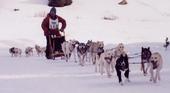 dog_sled