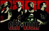 Cry Wolf profile picture