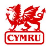 All Welsh Music profile picture