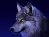 BEOWOLF profile picture