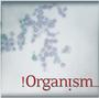 !Organism (Digital.Lab) profile picture