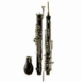 English Horn profile picture