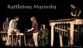 Joel Laviolette & Rattletree Marimba profile picture