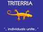 triterria profile picture