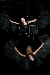 Frequent Flyers - Aerial Dance Theatre Company profile picture