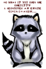 Raccoon profile picture