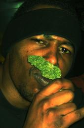 SLC Puffalation Vol. 1 profile picture