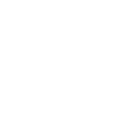 don ramon profile picture