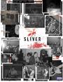 SLIVER (new song!!!) profile picture