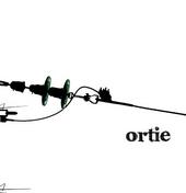 Ortie profile picture