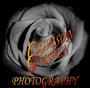 Crimson Garden Photography profile picture