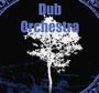 Dub Orchestra profile picture