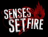 Senses Set Fire profile picture