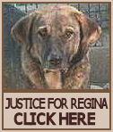 Justice For Regina profile picture