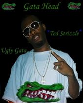 THE OFFICAL TED STRIZZLE PAGE profile picture