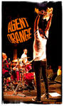 AGENT ORANGE profile picture