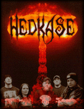 HEDKASE profile picture